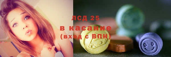 индика Алексеевка