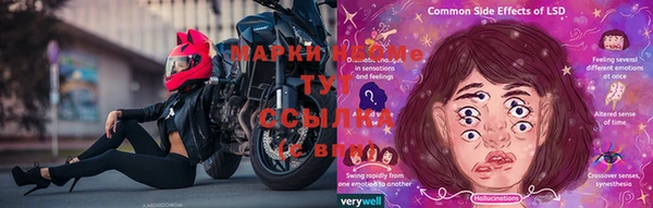 индика Алексеевка